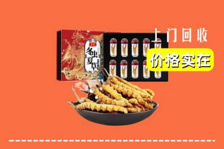 肇庆市端州回收冬虫夏草