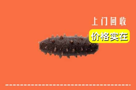 肇庆市端州回收海参