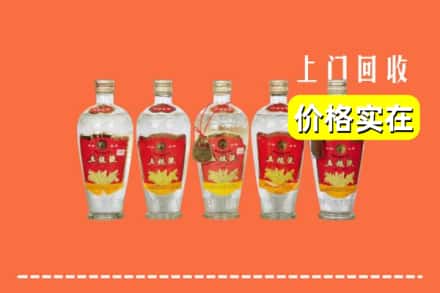 肇庆市端州回收老五粮液